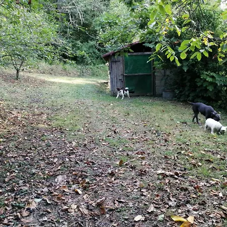 Prázdninový dům La Casina Di Laura *